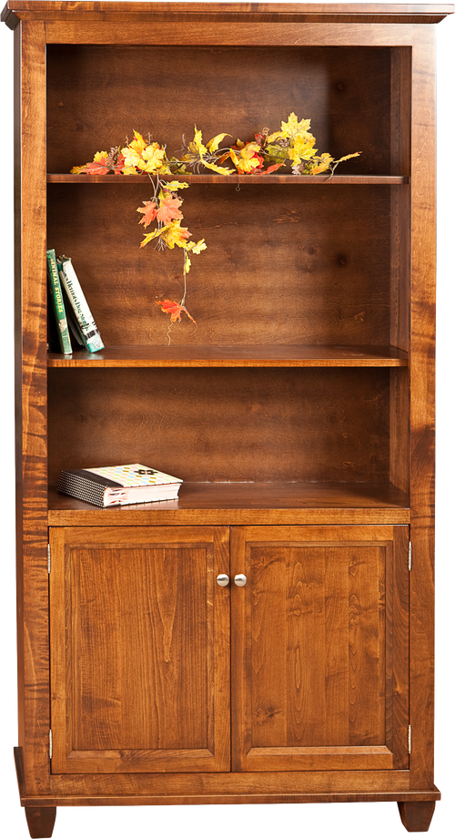 Algonquin Bookcase with Doors Finished in Brown Maple