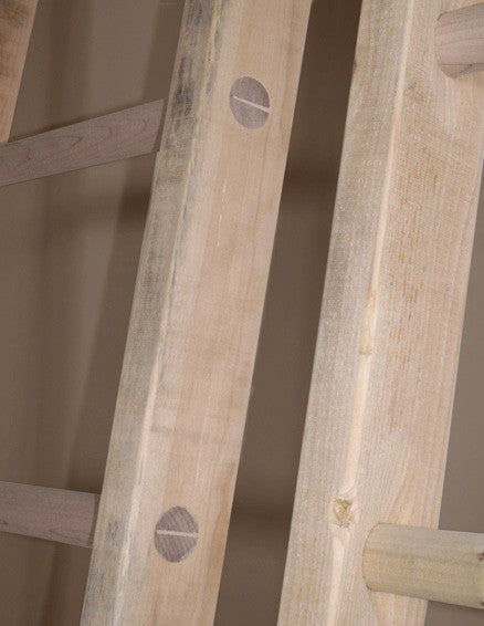 Rustic Ladder