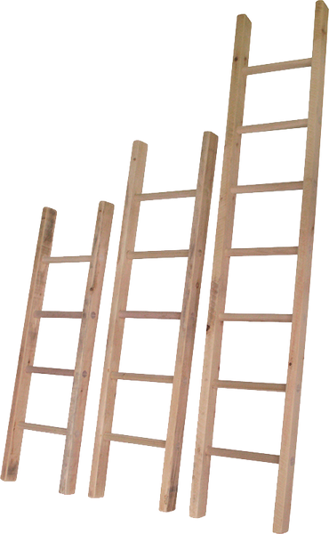 Rustic Ladder